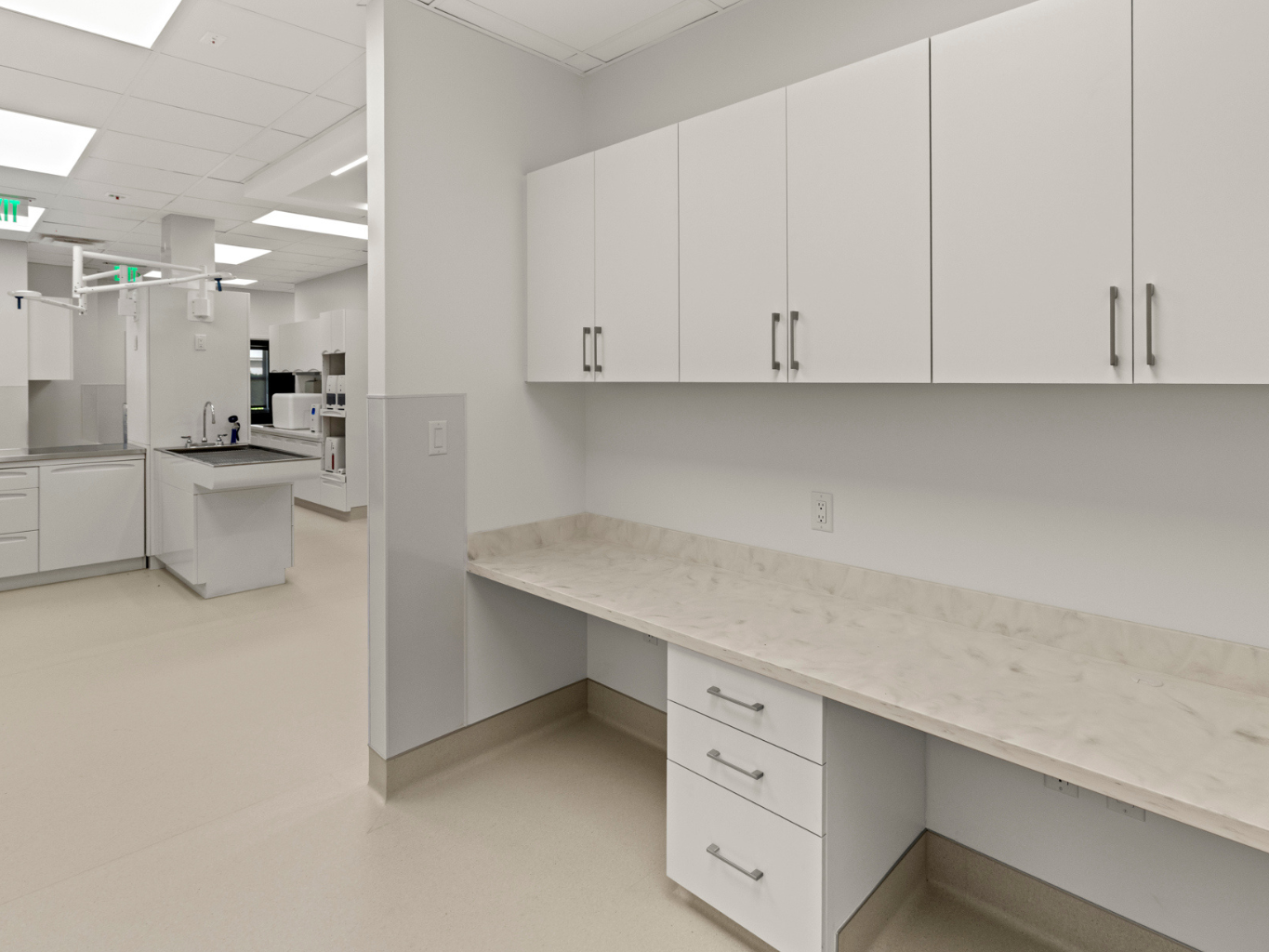 sterile white cabinets in a pet hospital
