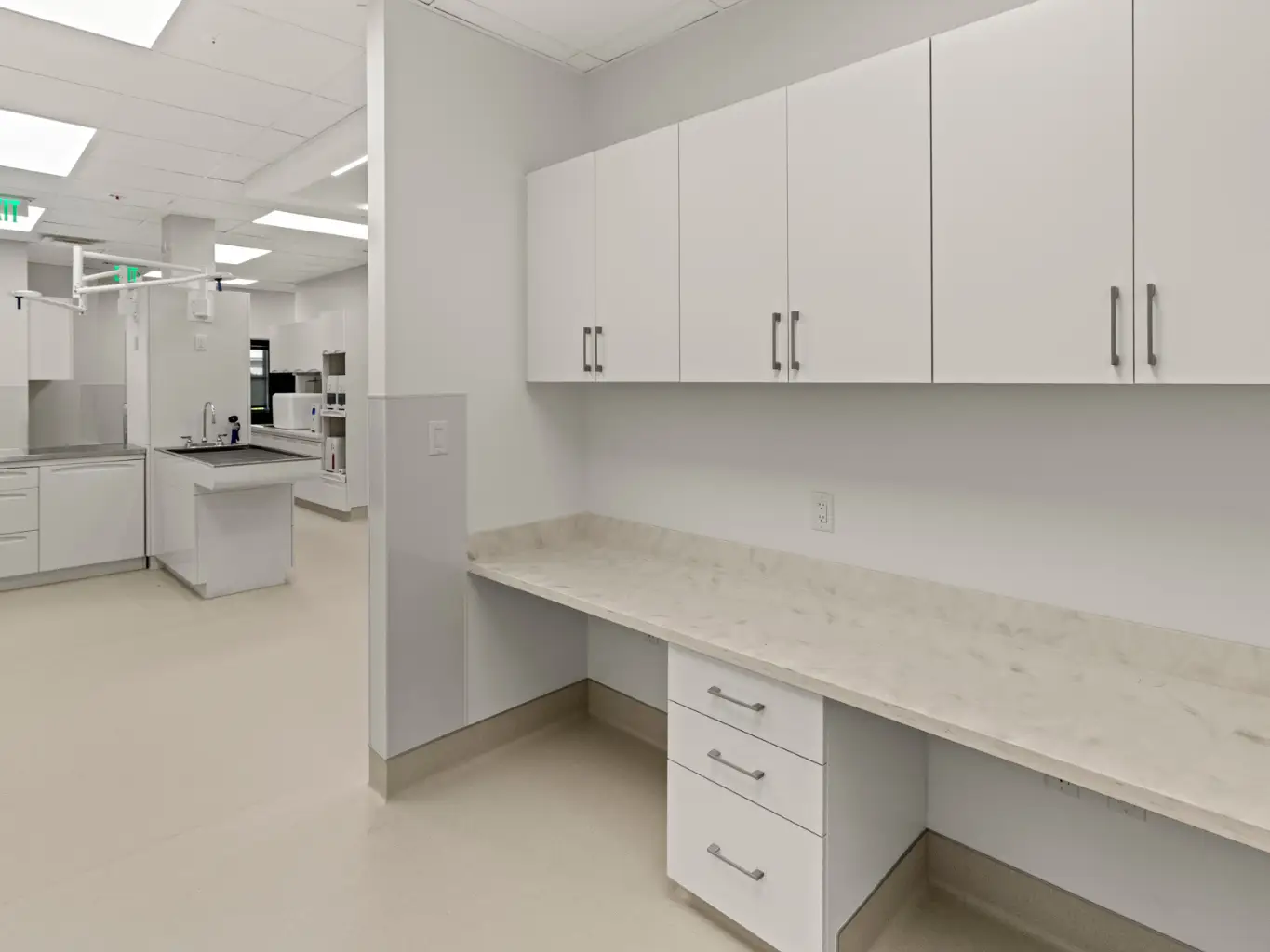 sterile white cabinets in a pet hospital